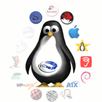Linux`